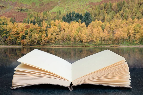 Concettuale Composito Libro Aperto Immagine Splendida Autunno Caduta Paesaggio Immagine — Foto Stock