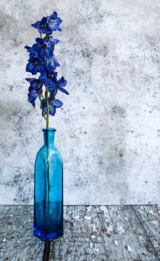 Romantik çiçeklere ve bahçe parapenalilerine çok güzel bir klasik görünüm uygulanır. İlkbahar ve yaz mevsimsel çiçekleriyle birlikte hayat devam eder.