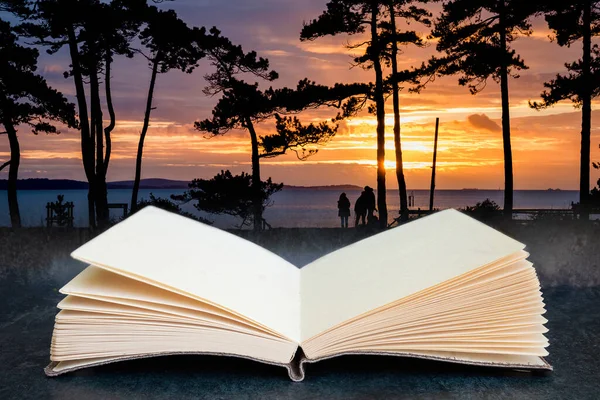 Imagen Libro Abierto Compuesto Conceptual Impresionante Silueta Del Atardecer Árboles — Foto de Stock