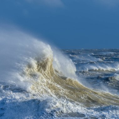Stunning image of individual wave breaking and cresting during violent windy storm with superb wave detail clipart
