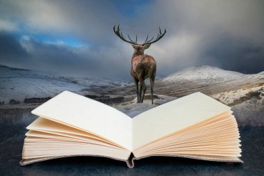 Karla kaplı dağlık kış manzarasında güzel kızıl geyik geyiğinin kavramsal açık kitap görüntüsü.