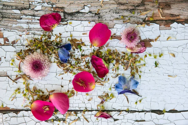 Platt Låg Top Visa Bild Romantisk Vintage Utseende Blomma Kronblad — Stockfoto