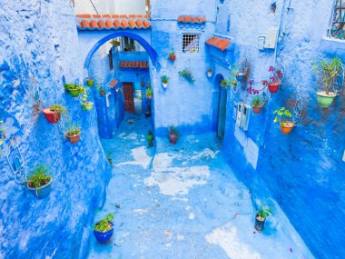 Chefchaouen, Fas 'ta mavi duvarlarında renkli saksıları olan küçük bir iç avlu.