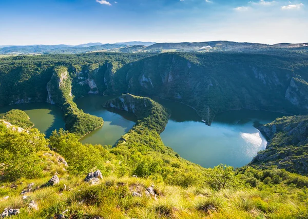 Elven Uvac i Grønn dal i Serbia med solnedgang – stockfoto