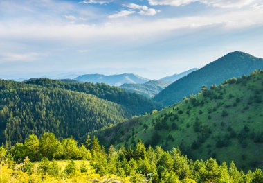 Sırbistan 'daki Tara milli parkında gün batımında tepeleri ve ormanları olan yeşil vadi manzarası