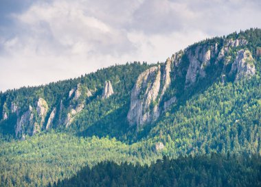 Bosna-Hersek 'te yüksek kayalık kayalıkları ve yemyeşil ormanları olan yeşil tepe