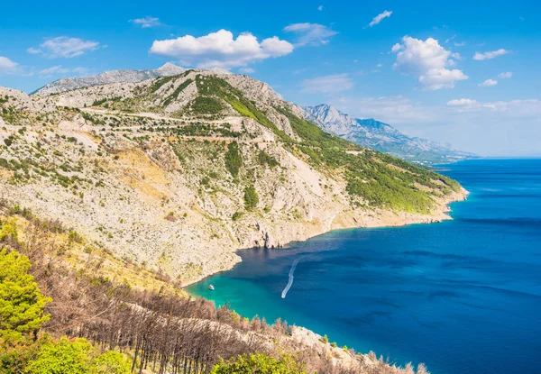 Blick auf die kroatische Küste mit felsigen Klippen, Pinien und blauem Meer mit Booten — Stockfoto