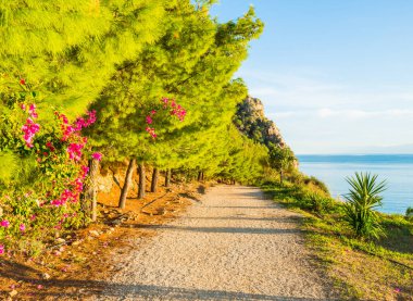 Yunanistan 'da yeşil kozalaklı ve pembe çiçekli deniz kenarında yürüyüş yolu