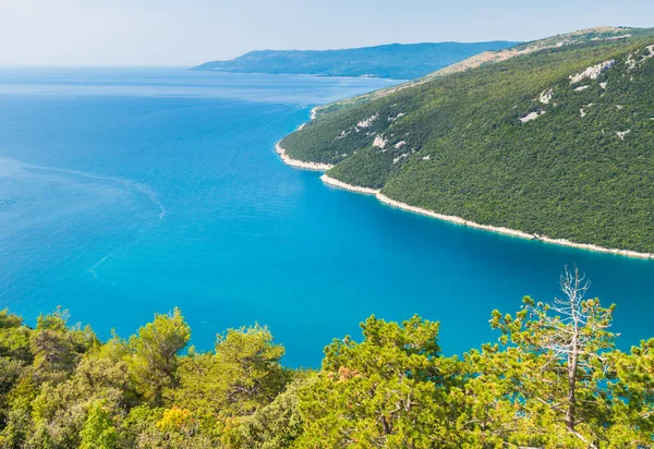 Küste der plomin Bucht in Istrien, Kroatien mit grünen Hügeln, blauem Wasser und Kiefern — Stockfoto