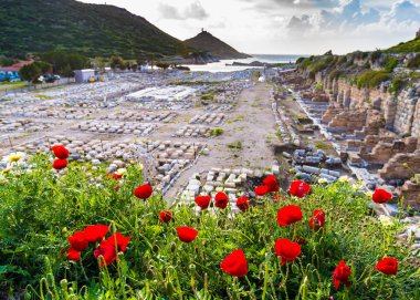 Bright poppies with ruins of Knidos city in Turkey on background clipart