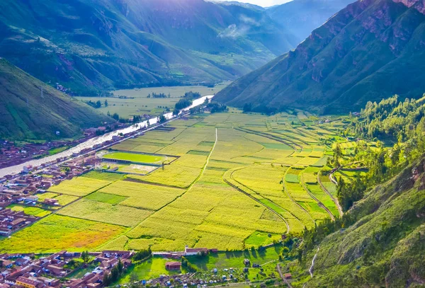 ペルーの丘のある谷の明るい緑の田んぼ — ストック写真