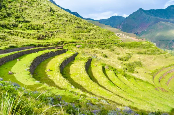 Green farming terraces with round shape with beautiful light and shadows