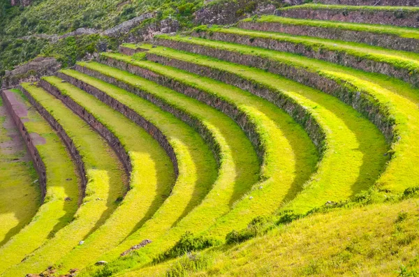 Beautifully shaped farming terraces in the ancient town of Pisac in Peru