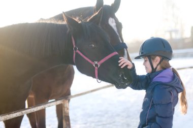 Levada paddock kış adlı iki at