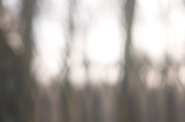 Arka plan ile bulanık