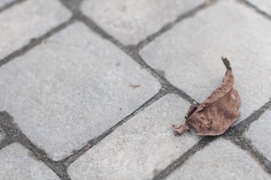 Zemin gri renk döşeme