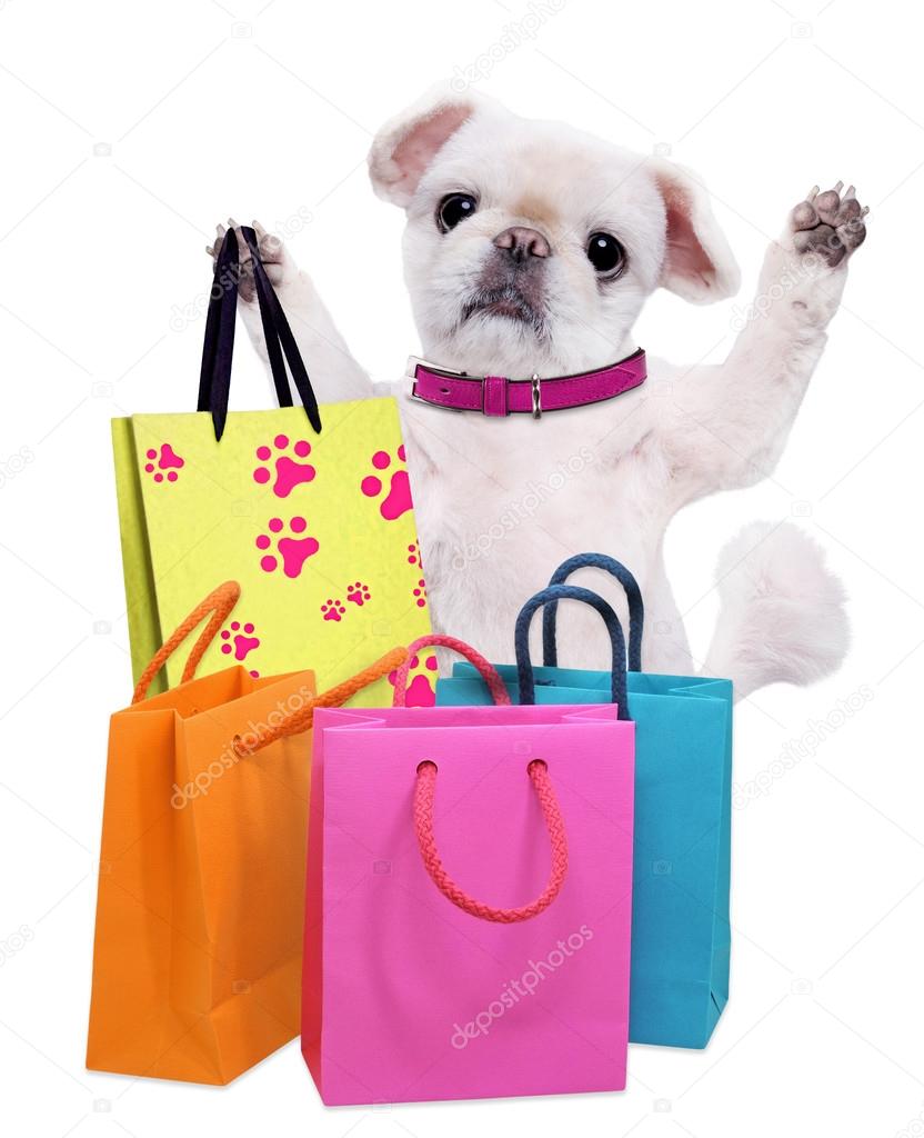 Dog with shopping bags . Stock Photo by ©RasulovS 125262964