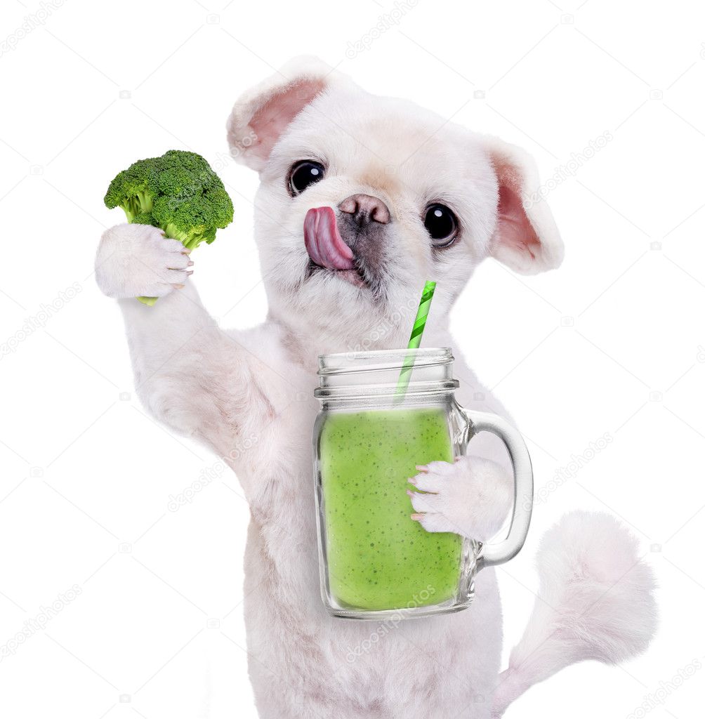 犬が白で隔離マグカップでスムージーをくわえています ストック写真 C Rasulovs 犬が白で隔離マグカップでスムージーをくわえています ストック写真 C Rasulovs