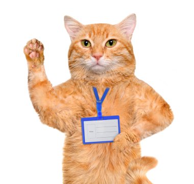 Kedi aşınma boş beyaz rozet mockup .