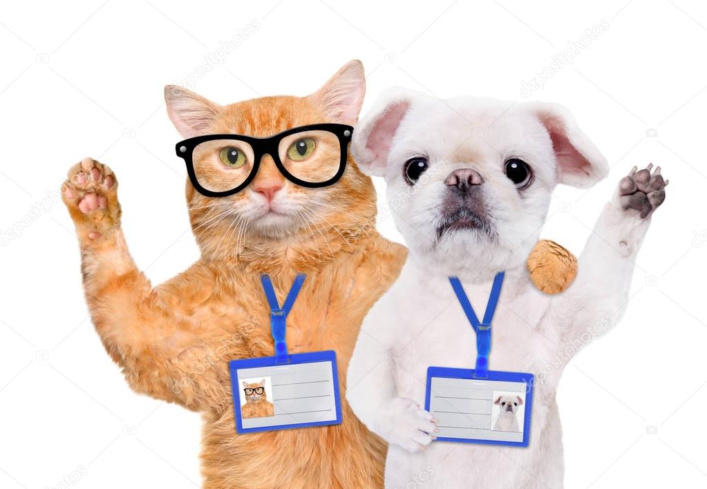 Dog and cat wear blank white badge mockup . 
