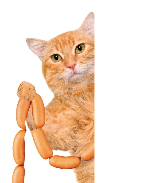 Кот с сосисками  . — стоковое фото