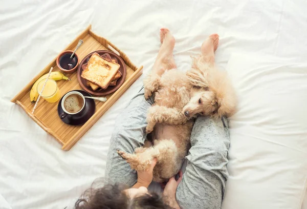 Jeune femme avec son chien dans un lit . — Photo