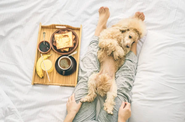 Mujer joven con su perro en una cama . —  Fotos de Stock