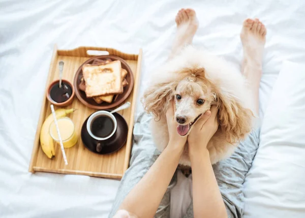 Jeune femme avec son chien dans un lit . — Photo