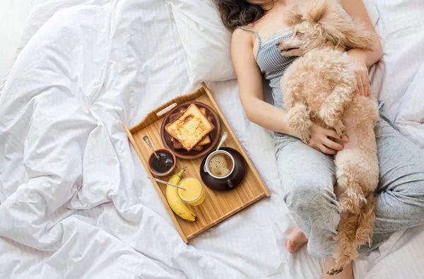 Молода жінка з собакою в ліжку . — стокове фото