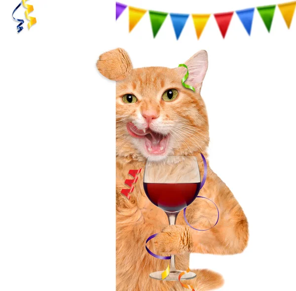 Katze hält ein Glas Wein und feiert. — Stockfoto