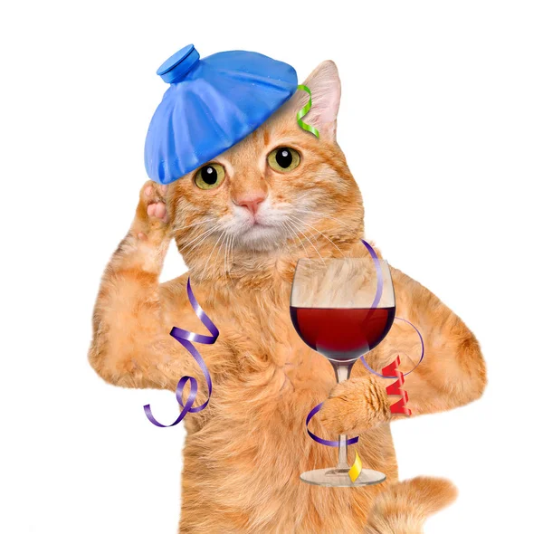 Katze mit Kater und Kopfschmerzen hält ein Glas Wein, Eisbeutel auf dem Kopf. — Stockfoto