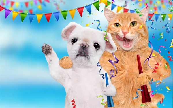 Gatto e cane stanno festeggiando — Foto Stock