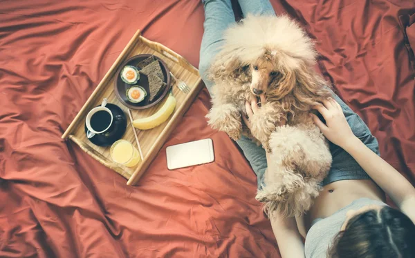Ung kvinna ligger i sängen med hund och att ha en hälsosam frukost. — Stockfoto