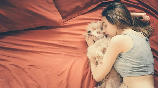 Ung kvinna ligga och sova med pudel hund i sängen. — Stockfoto