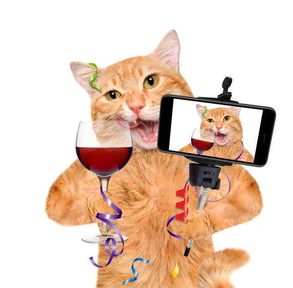 Katten tar en selfie tillsammans med en smartphone. — Stockfoto