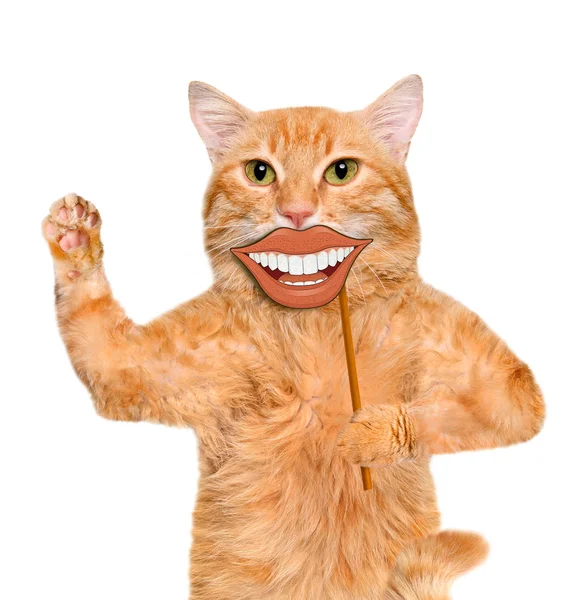 Cat holding card with funny smiley . — Stock Photo, Image