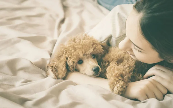 Junge Frau liegt und schläft mit Pudelhund im Bett. — Stockfoto