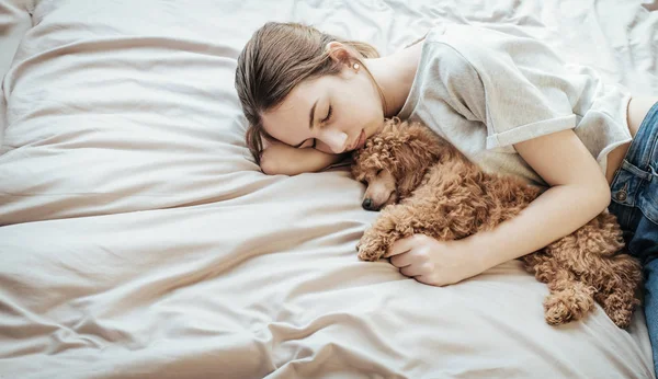 Jeune femme est couché et dort avec chien caniche au lit . — Photo