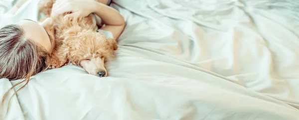 Jeune femme est couché et dort avec chien caniche au lit . — Photo