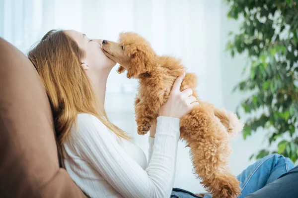 Giovane ragazza sta riposando con un cane sulla poltrona a casa  . — Foto Stock