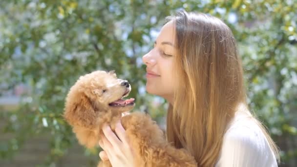 Chica joven besando a su buen amigo perro  . — Vídeo de stock