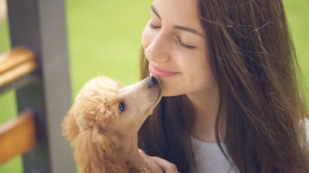 Genç kız arkadaşım köpeğini öpüşme . — Stok video