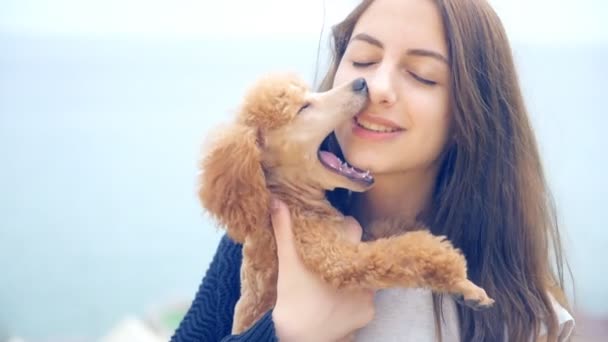 Young girl with her dog in the outdoor . — Stock Video