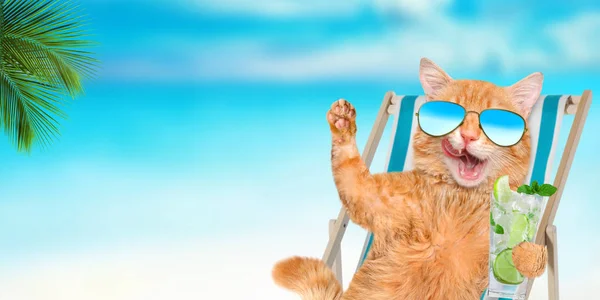Cat indossa occhiali da sole rilassante seduto sulla sedia a sdraio sullo sfondo del mare . — Foto Stock