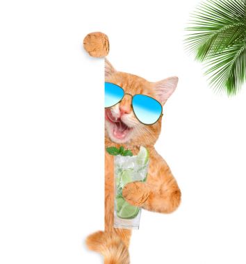 Bir kokteyl zevk kedi . 