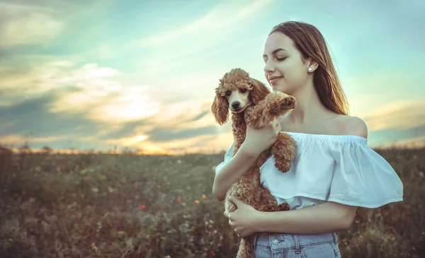 Menina bonita está descansando com um cão em um campo . — Fotografia de Stock