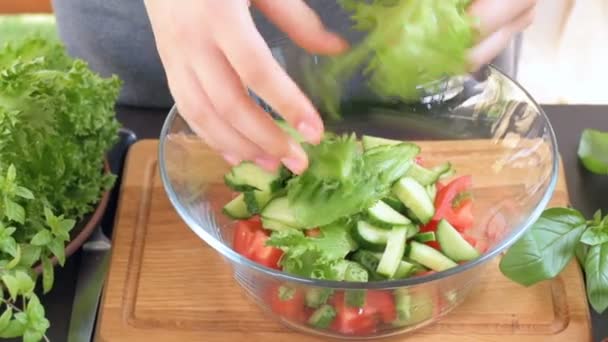 The concept of cooking vegetable salad . — Stock Video