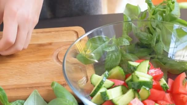 Woman mixed healthy salad . — Stock Video