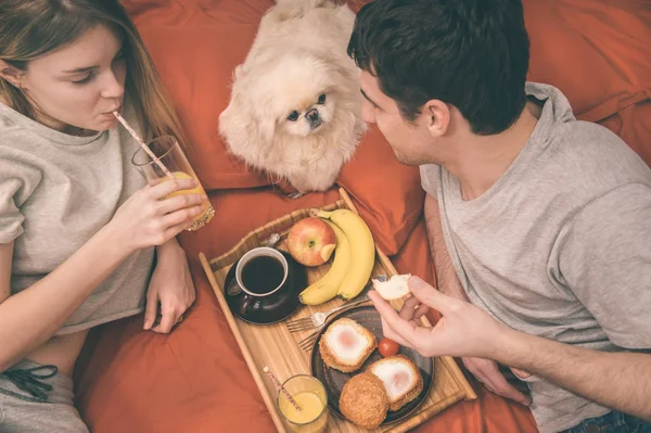 对年轻的夫妇躺在床上与狗和吃健康的早餐. — 图库照片