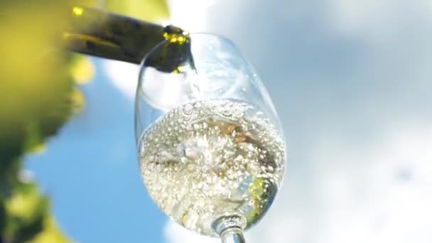 Wylewanie kieliszek białego wina. — Wideo stockowe